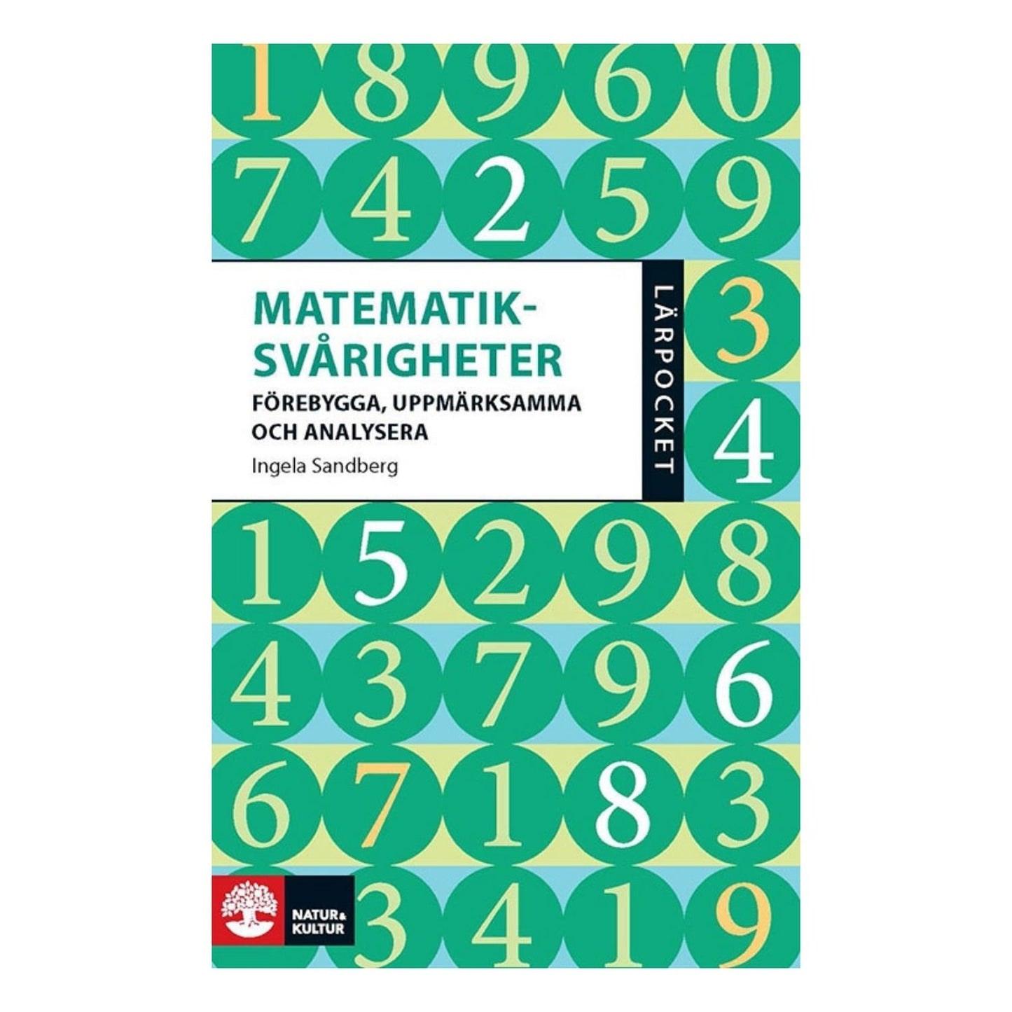 Omslag Matematiksvårigheter Förebygga uppmärksamma och analysera om räknefel och begreppsliga svårigheter i skolan