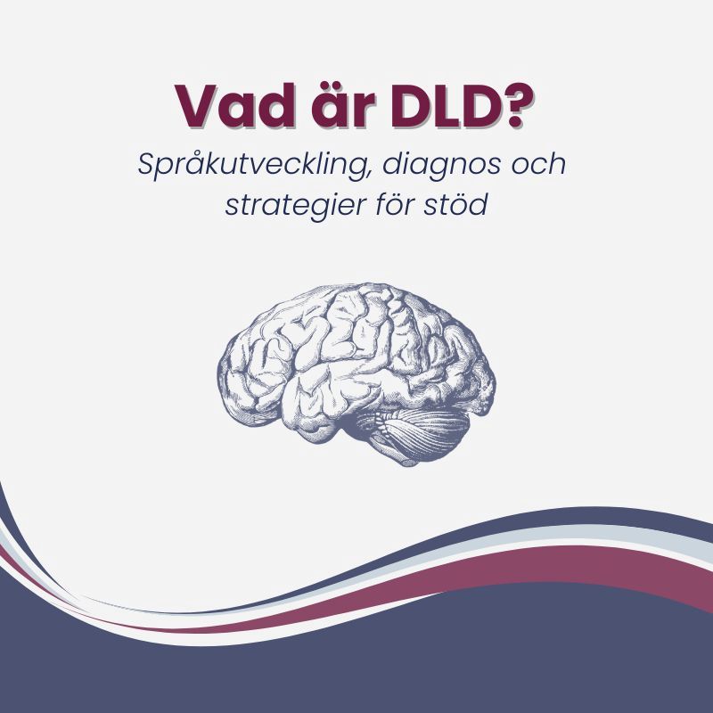 Illustration med texten 'Vad är språkstörning (DLD)?' och underrubriken 'Språkutveckling, diagnos och stöd'. Blå och lila design.