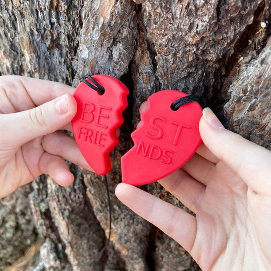 Två röda halvor av tugghalsband Best Friends hålls i händer framför ett träd