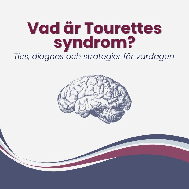 Hjärnillustration med texten 'Vad är Tourettes syndrom?'. Underrubrik: 'Tics, diagnos och strategier för vardagen'. Blå, vinröd och vit design.