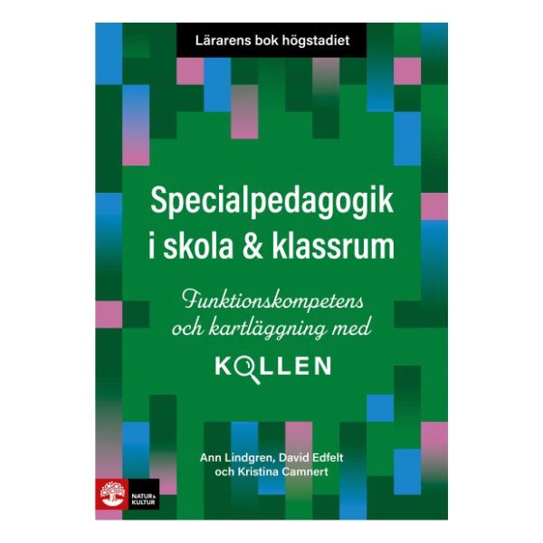Bokomslag till Lärarens bok högstadiet: Specialpedagogik i skola och klassrum om funktionskompetens och kartläggning.