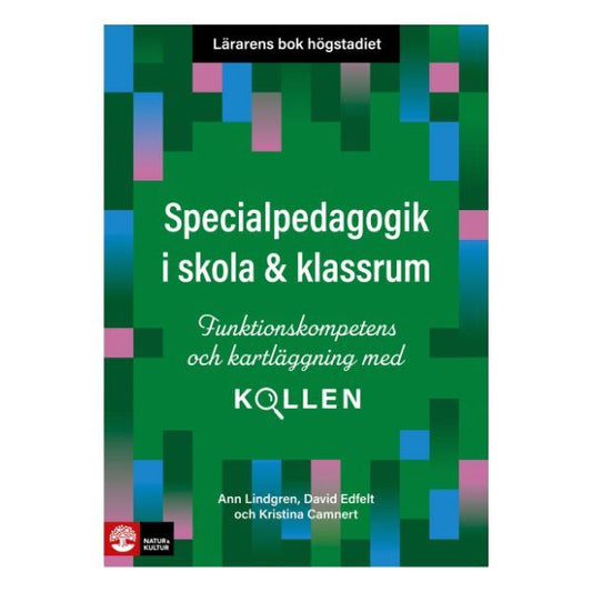 Bokomslag till Lärarens bok högstadiet: Specialpedagogik i skola och klassrum om funktionskompetens och kartläggning.